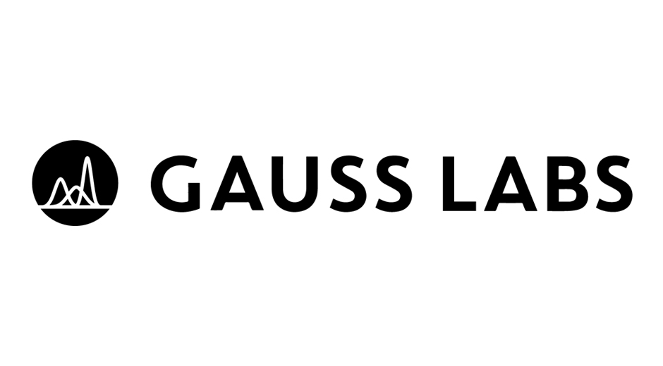 가우스랩스, 반도체계측기술
